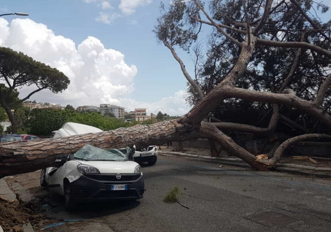 Posillipo, albero crolla sul furgone parcheggiato