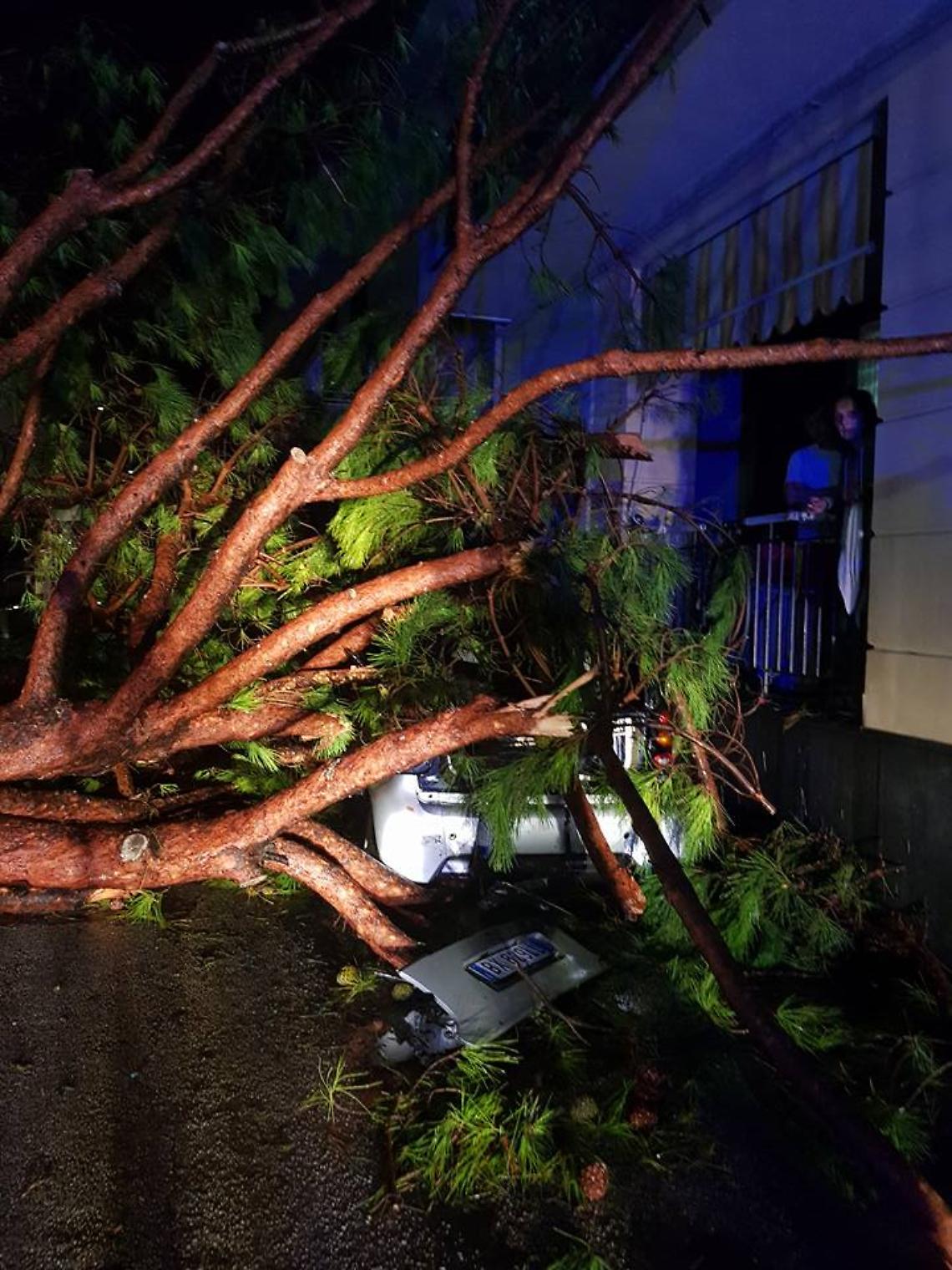 Maltempo, allagamenti e alberi caduti. Crolla la palazzina sgomberata a Torre Annunziata. Disastro evitato. Disagi per i trasporti, collegamenti a singhiozzo con le isole