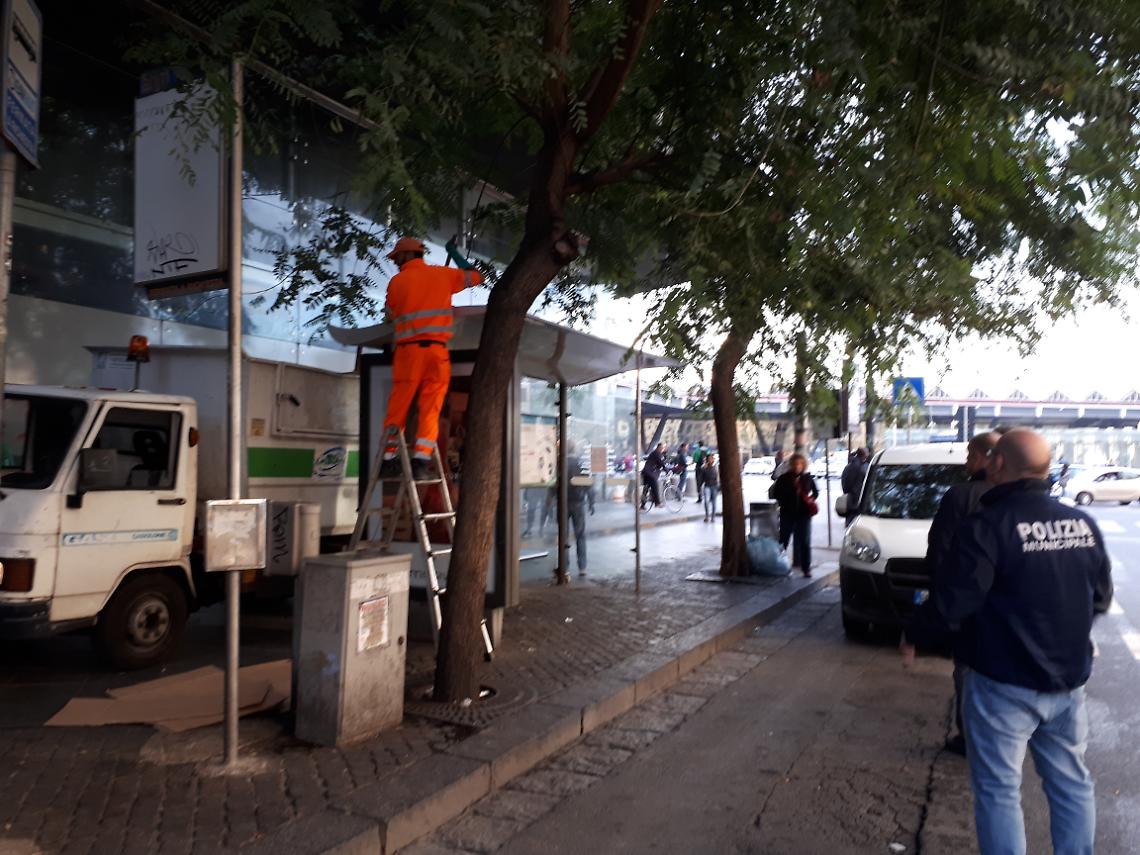 Corso Novara, rimosse fioriere-pattumiere