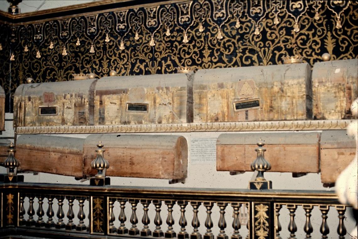 Re Ferrante II di Aragona, il segreto della sepoltura è negli insetti