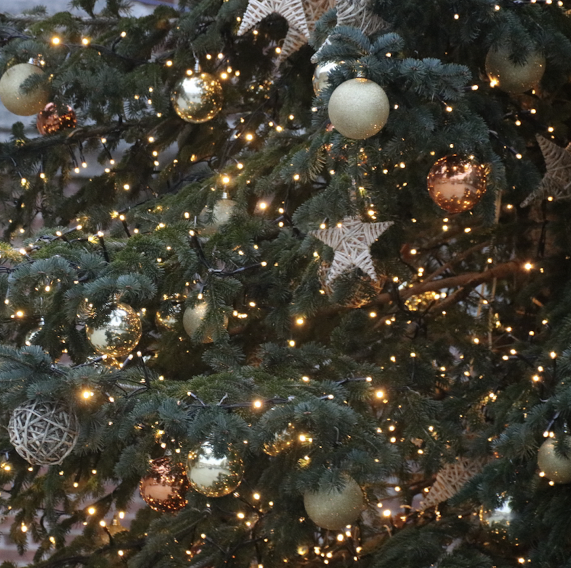 Albero di Natale in piazza Plebiscito, domani l'inaugurazione