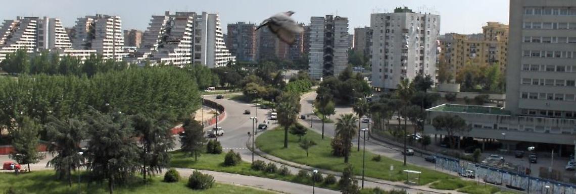 Scampia e area nord, approvati progetti per gli assi viari per 10 milioni
