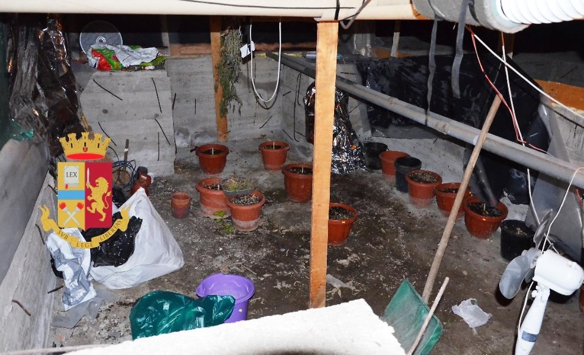 Laboratorio per canapa indiana scoperto a Torre Annunziata