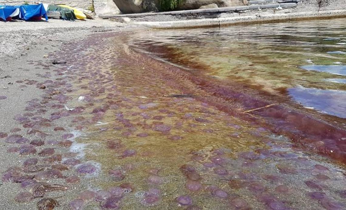 Varcaturo, anziano rischia di annegare: salvato da un carabiniere in vacanza