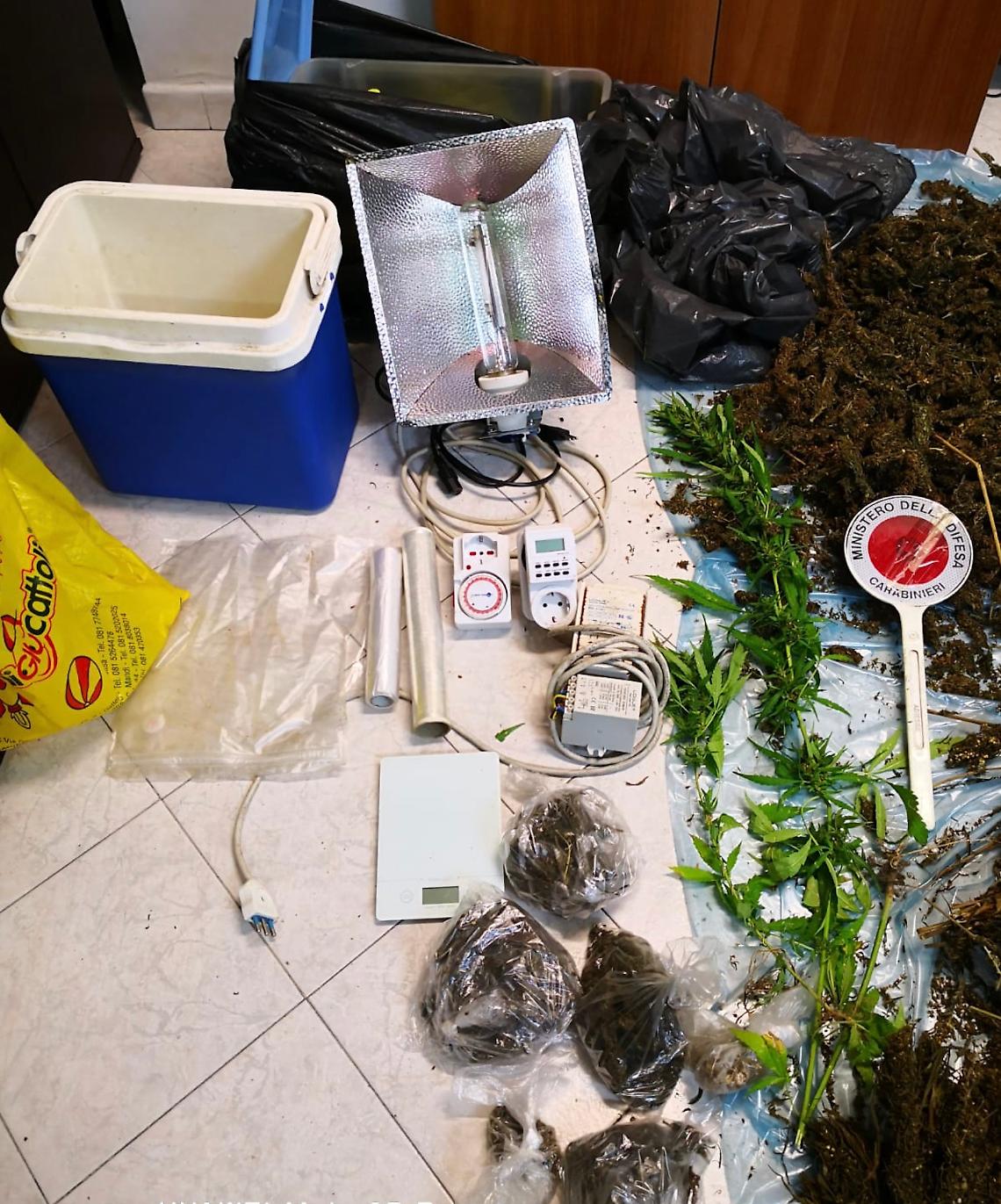 Marijuana "fai da te", nei guai un 48enne a Volla