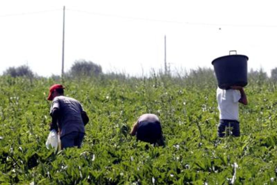 Sparava verso braccianti per farli lavorare di più, arrestato