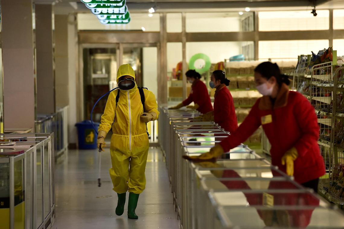 Covid Nordcorea, Bassetti: «Si rischia una catastrofe simile al 2020»
