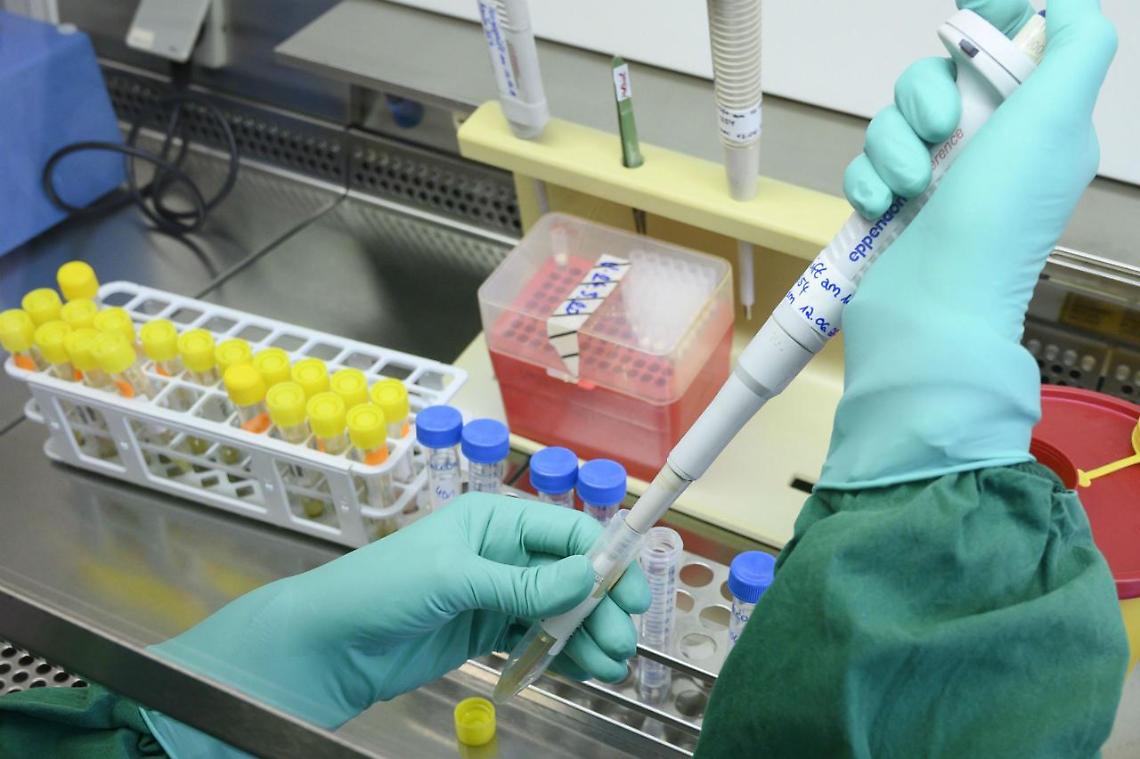 Coronavirus, ricercatori della Federico II scoprono molecole che lo bloccano