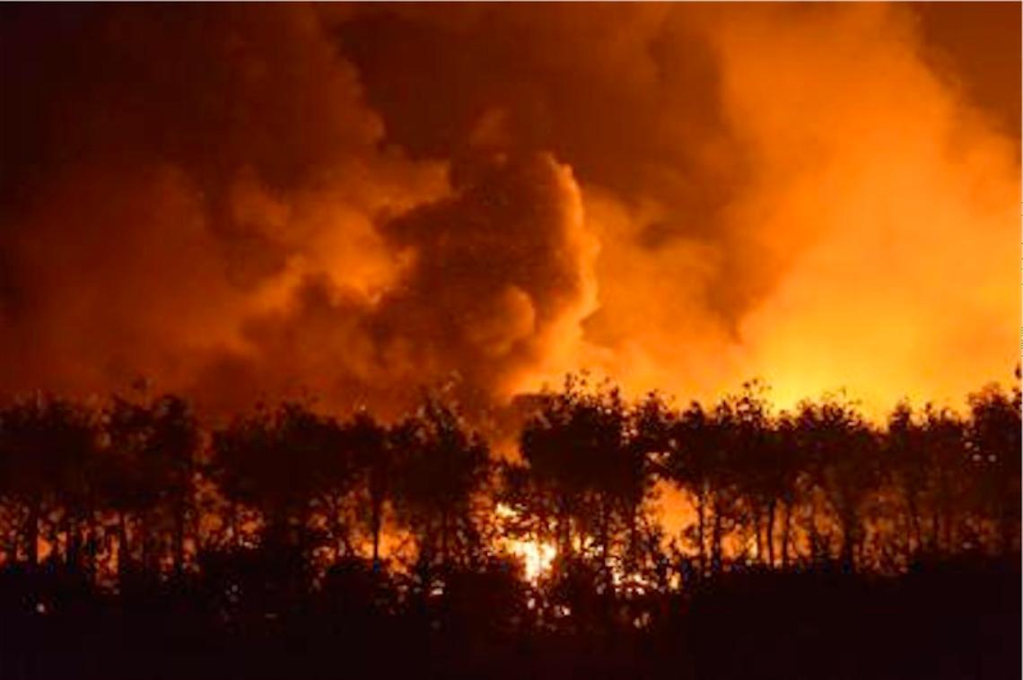 Oltre 40 morti per le esplosioni a Tianjin, in Cina