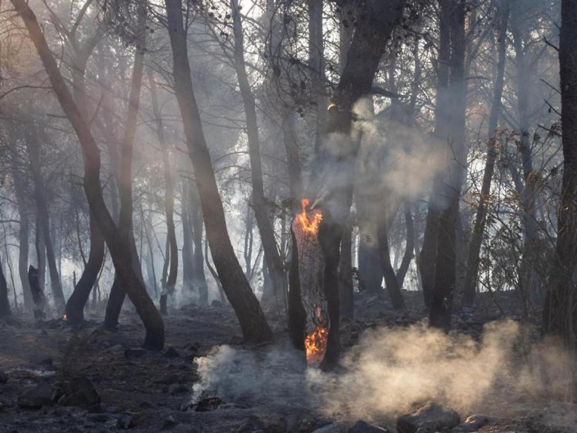 Da fuoco a vegetali, rischia incendio di oasi del Wwf
