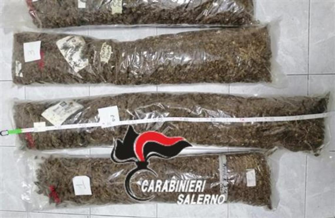 Coniugi in manette, in casa quasi 8 chili di marijuana
