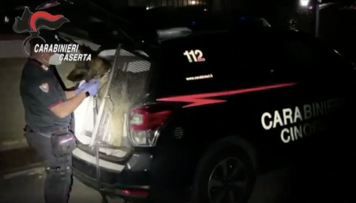 Pusher con reddito di cittadinanza, 48 indagati tra Napoli e Caserta