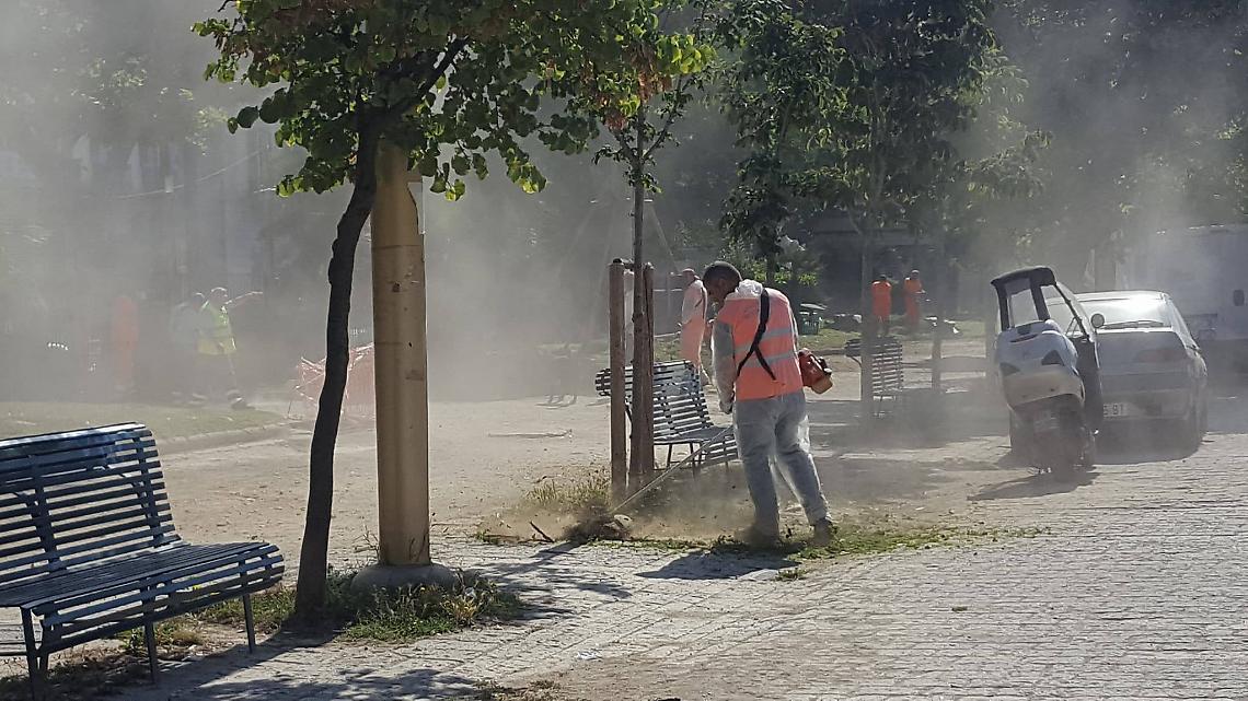 Giardiniere ferito da cane in Villa, Verdi: necessaria l’istituzione delle guardie zoofile