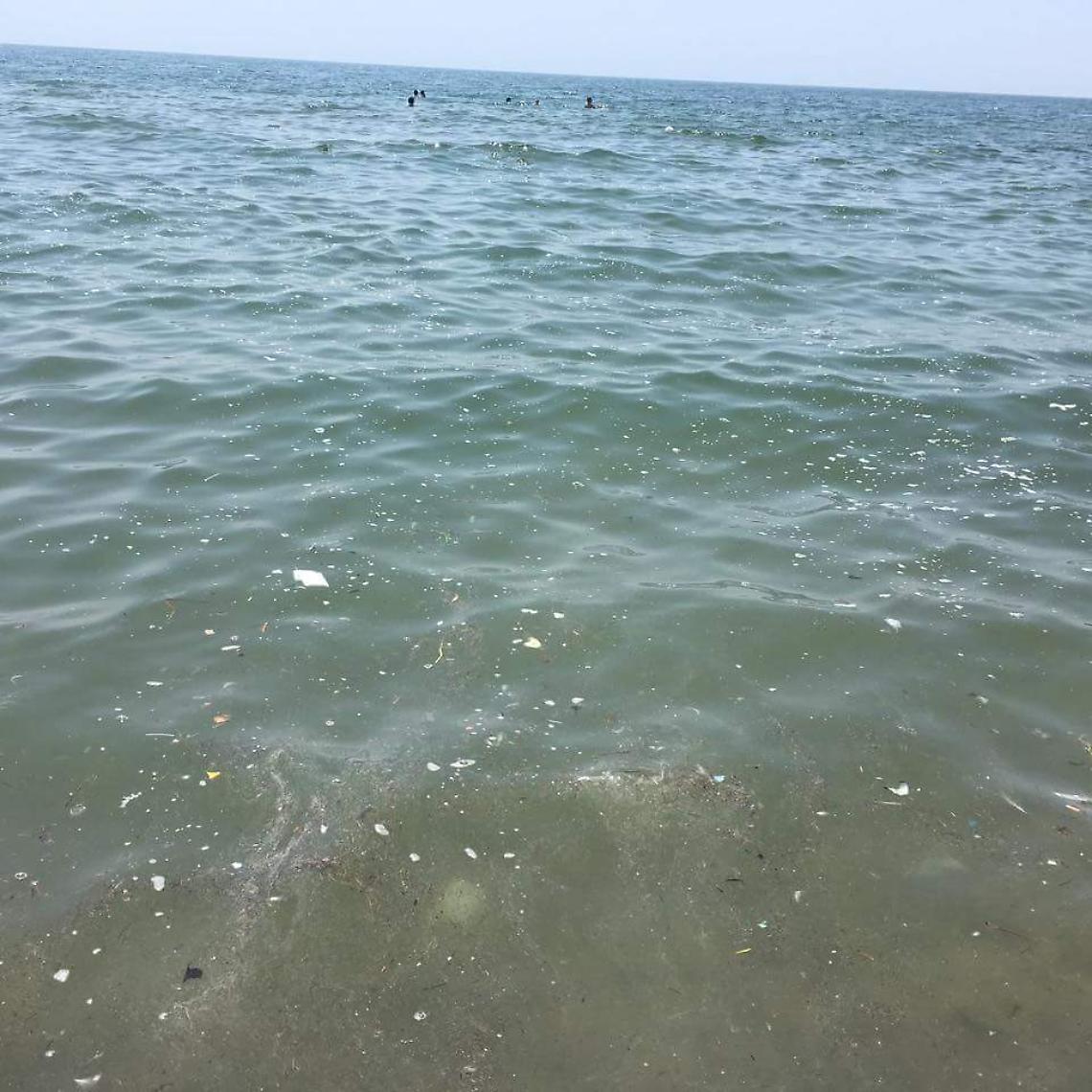 Mare "sporco" sul litorale domizio, colpa delle microalghe. Arpac: acque balneabili