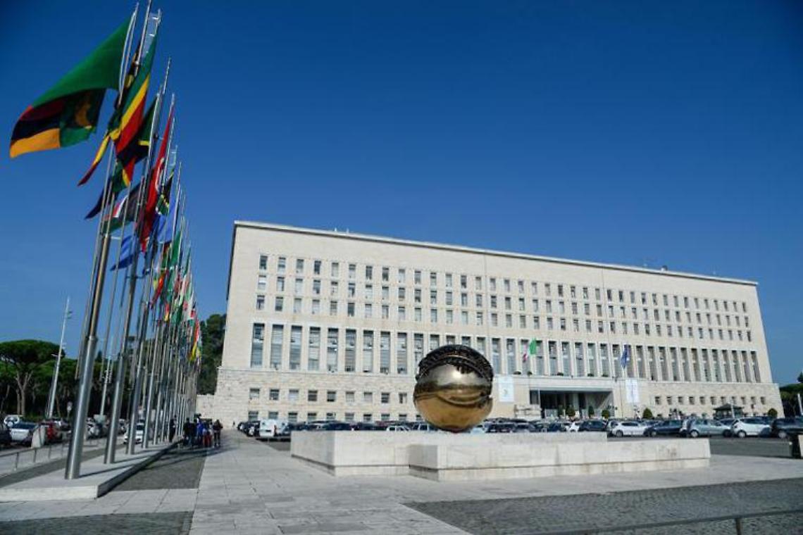 Sudan, Farnesina: scarcerato Marco Zennaro