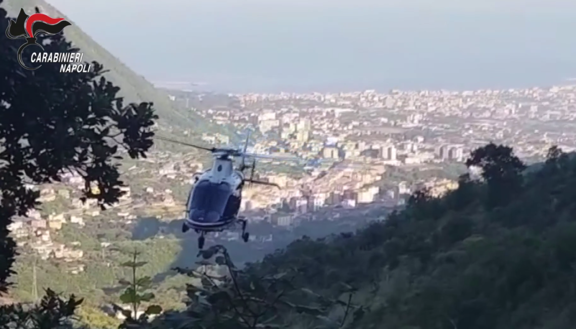 Monti Lattari, sequestrate 500 piante di cannabis