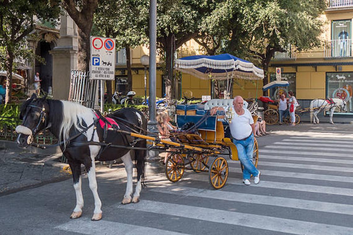 Sorrento, stop a carrozzelle trainate dai cavalli nelle ore più calde