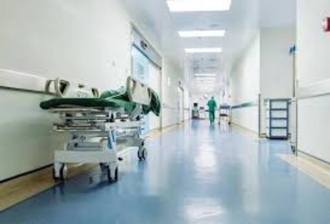 Formiche sul cadavere di una donna all'obitorio dell'ospedale