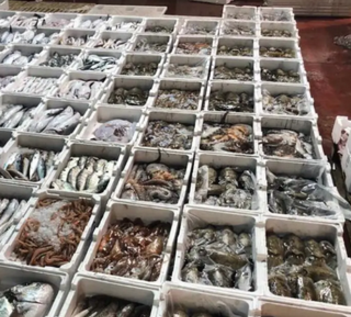 Pesce congelato venduto come fresco: sequestro e denunce