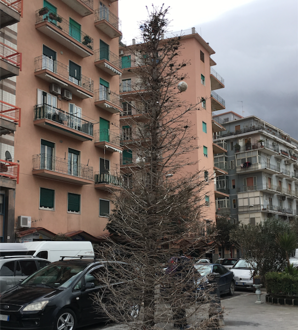 "Spelacchio", Castellammare come Roma: verde pubblico da vergogna
