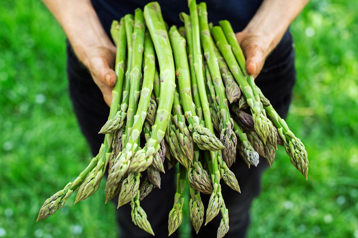 Rubano 100 chili di asparagi in un campo, due arresti ad Acerra