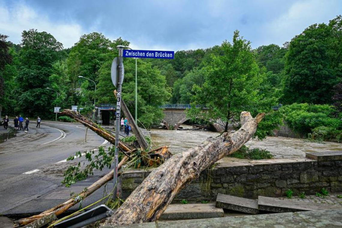 Piogge torrenziali in Germania, 20 morti e decine di dispersi