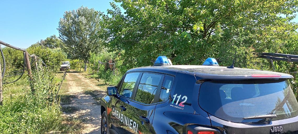 Piantagione e laboratorio marijuana a Licola, un arresto