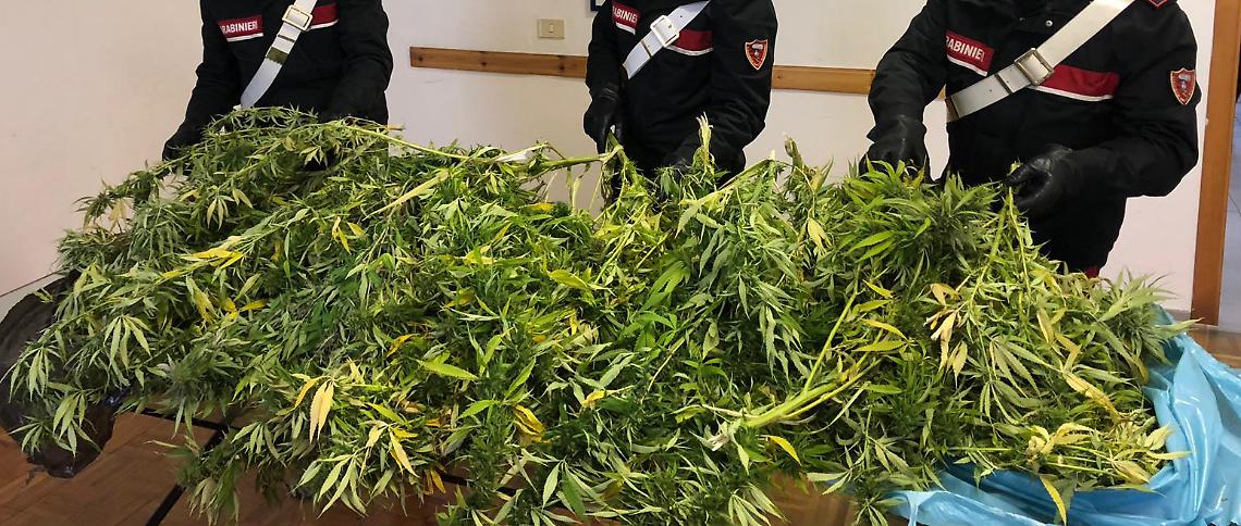 In scooter con due sacchi pieni marijuana: bloccato 27enne