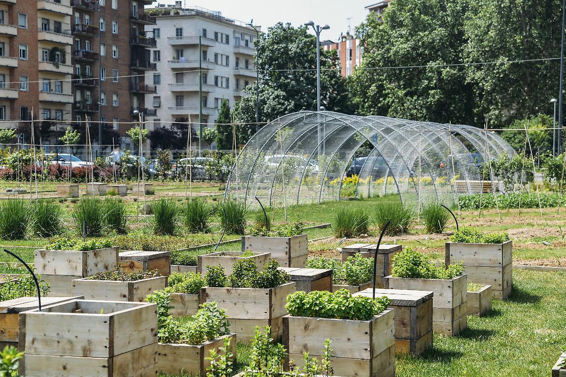 Orti urbani a Pianura, Giunta dà ok al progetto