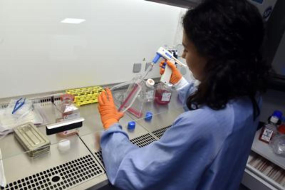 Terapia anti-cancro tutta italiana
