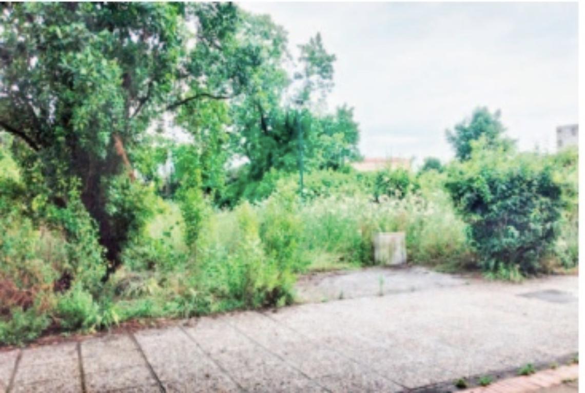 Il parco Troisi di San Giovanni a Teduccio nel degrado: rischio sanitario