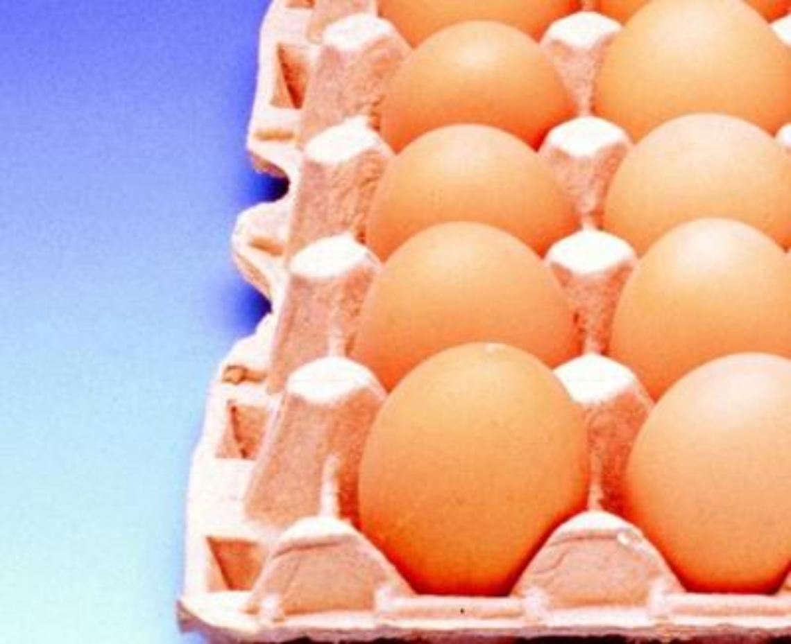 Fipronil, scattano i controlli sul pollo