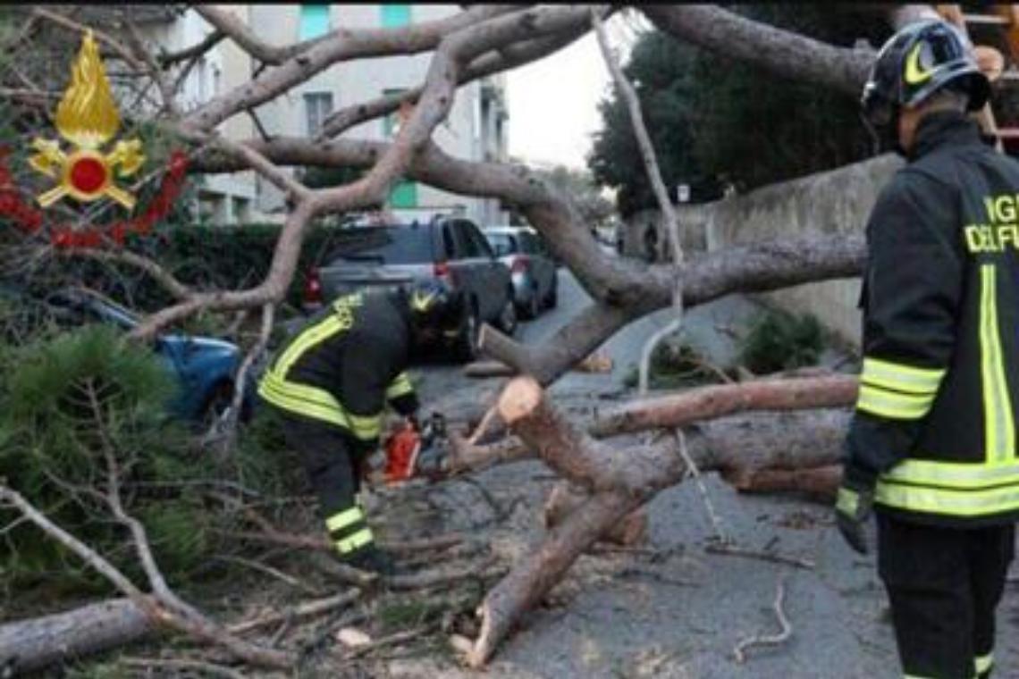 Vento, mareggiate e alberi caduti: è allerta maltempo