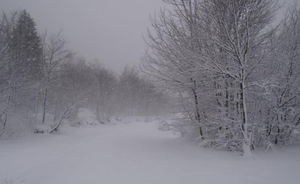 Bufera di neve in Irpinia, 40 persone bloccate sul Mafariello