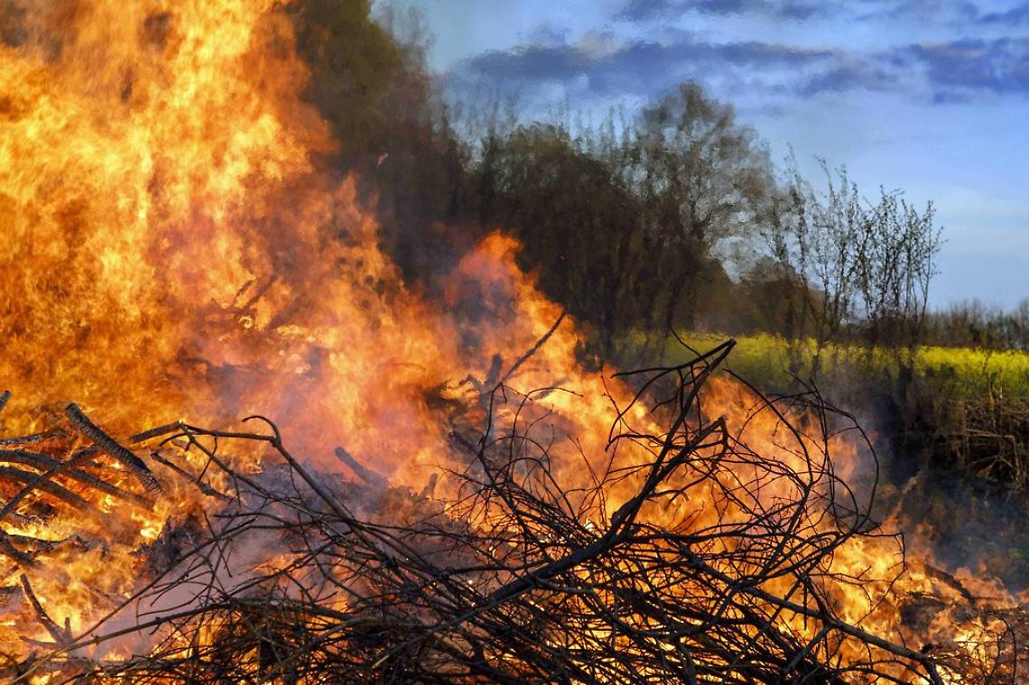 Incendi boschivi, al via campagna di prevenzione