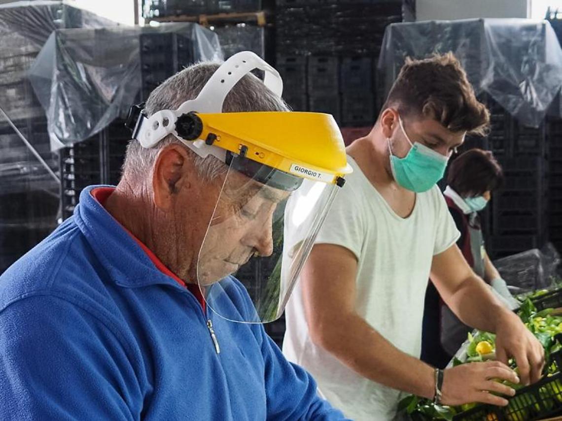 Il nuovo trend per rendere felici i dipendenti è la "Green Work Culture"