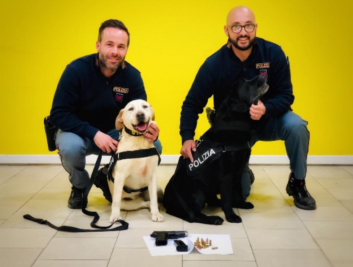 Cani poliziotto fiutano armi, bloccato 48enne a Portici