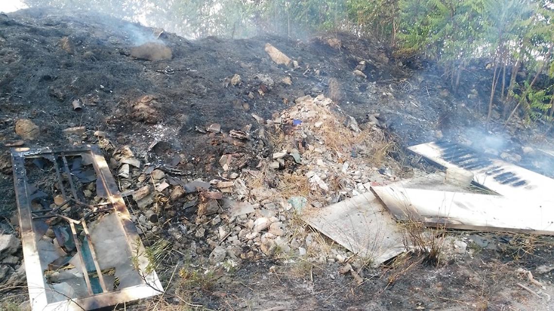 Brucia il parco del Vesuvio, incendio nell'area protetta