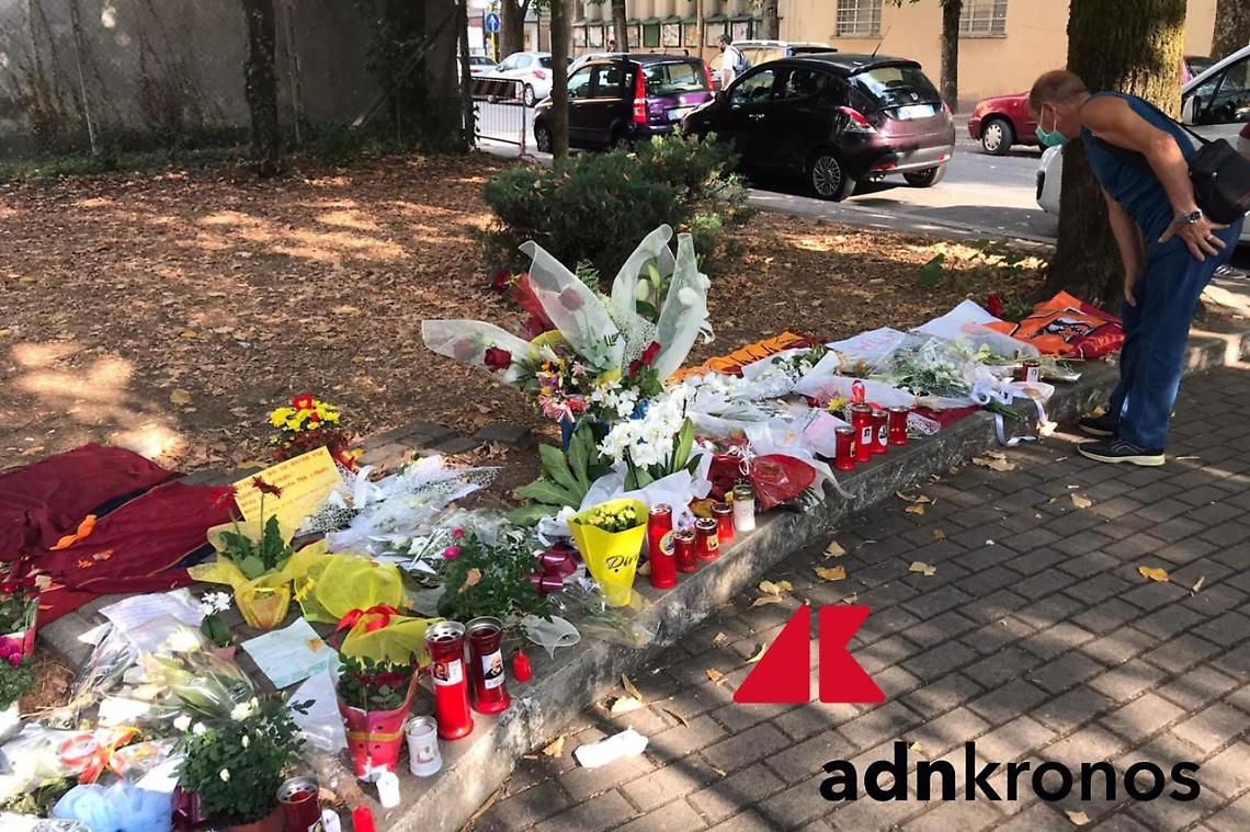 «Eroe chi ha ucciso quello scimpanzè», denunciato autore del post contro Willy