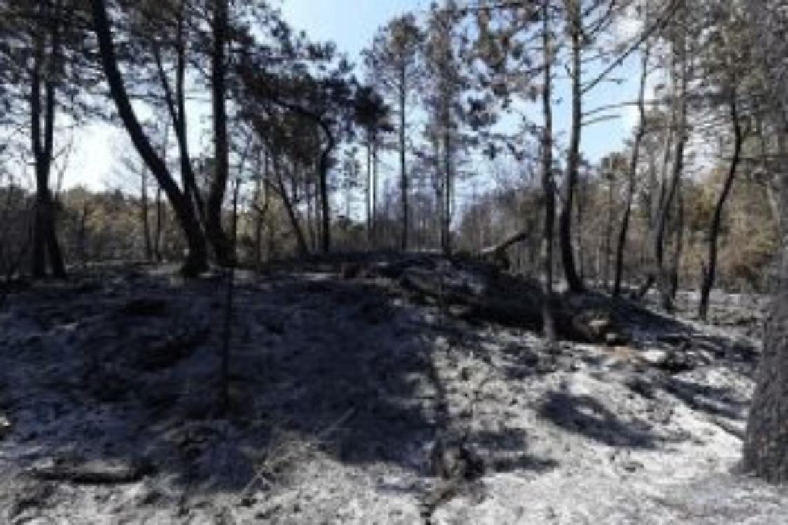 Vesuvio, vertice sul rischio frane dopo gli incendi