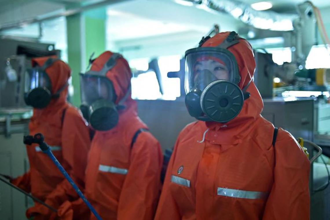 Nuovo allarme epidemia: influenza intestinale potrebbe essere colera 