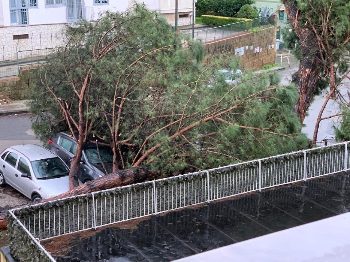 Due alberi abbattuti dal maltempo, tragedia sfiorata a Soccavo