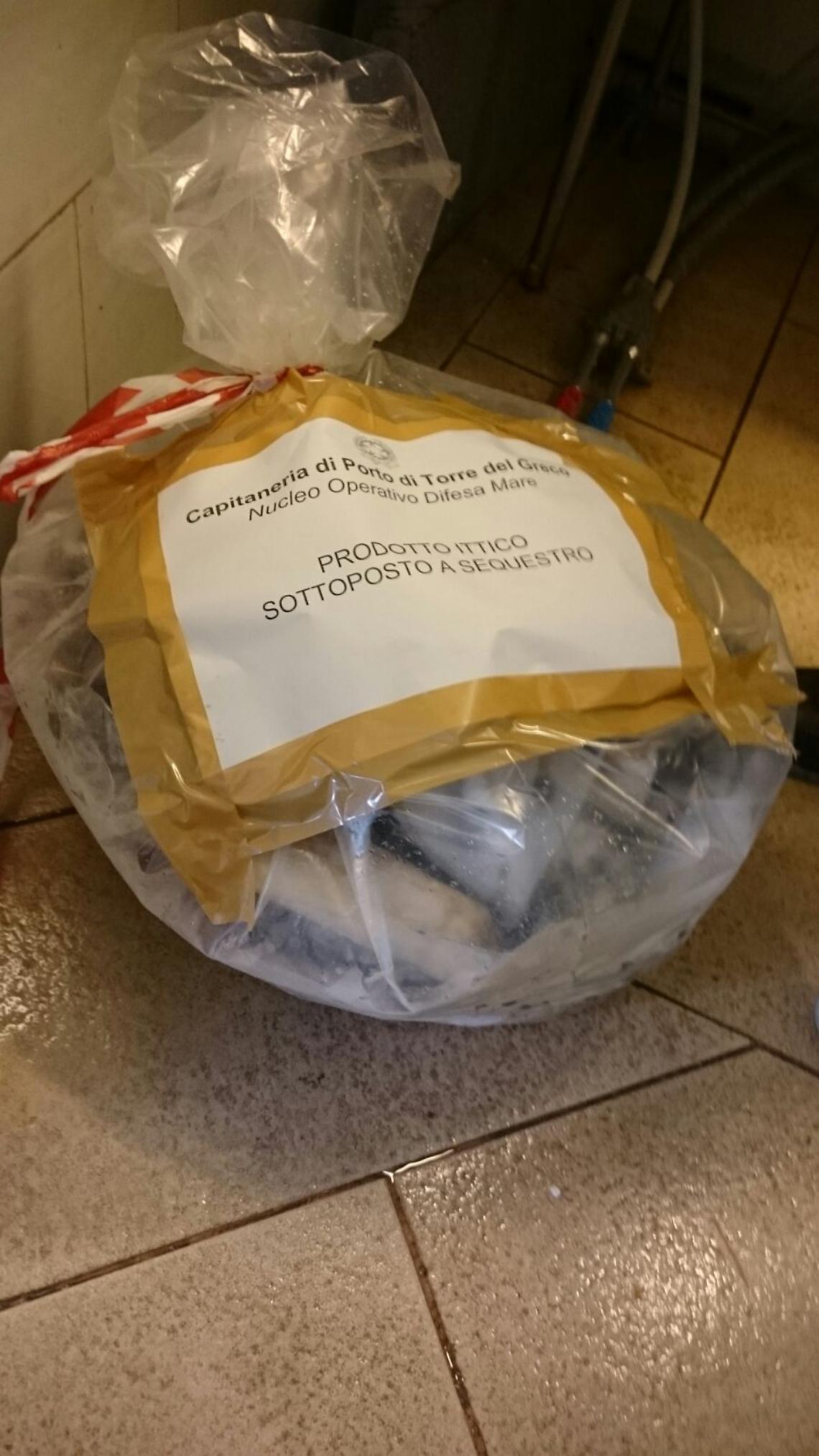 Torre del Greco, sequestrata oltre una tonnellata e mezza di pesce