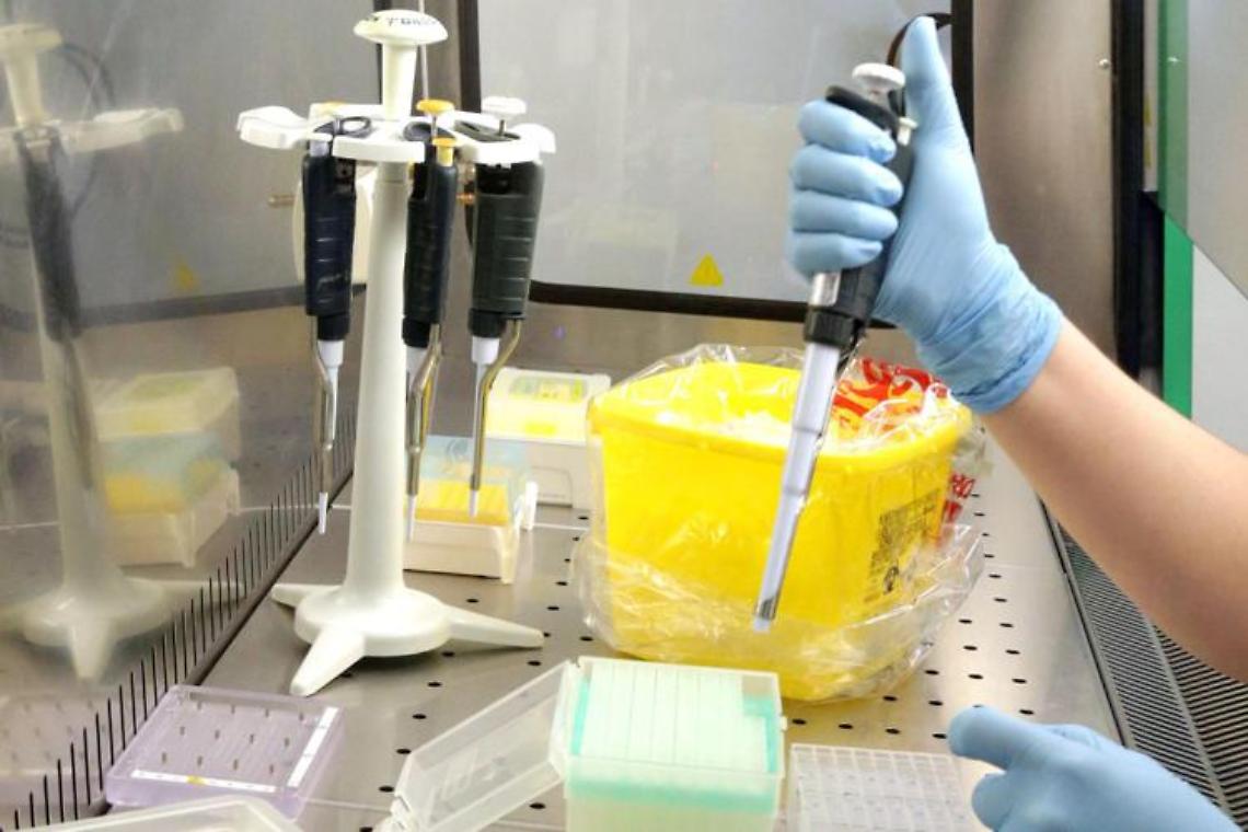 Vaiolo delle scimmie in Italia, sintomi e mortalità