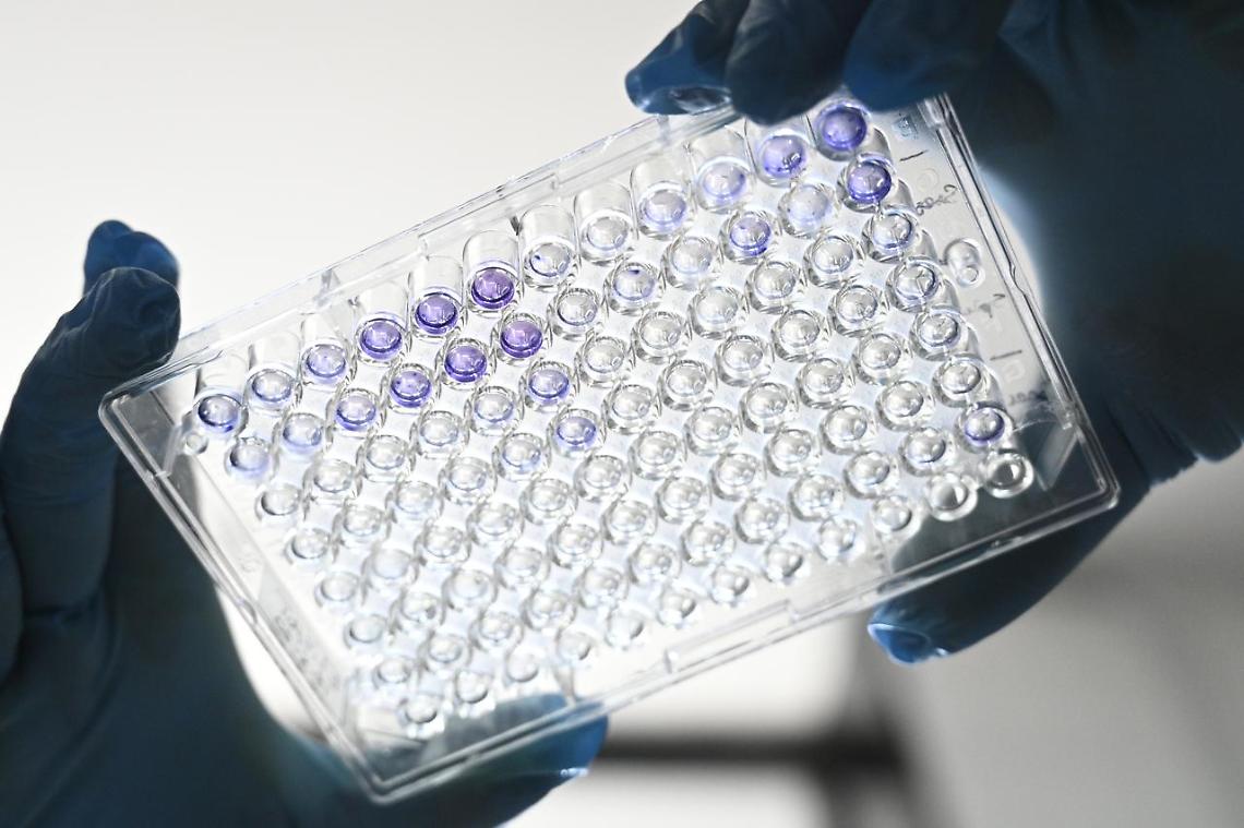 Covid, da vaccino Oxford «forte risposta immunitaria»