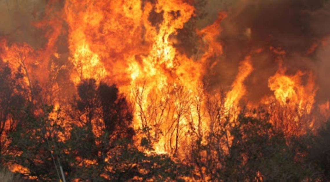 Accende il fuoco in campagna ma le fiamme la divorano, muore carbonizzata
