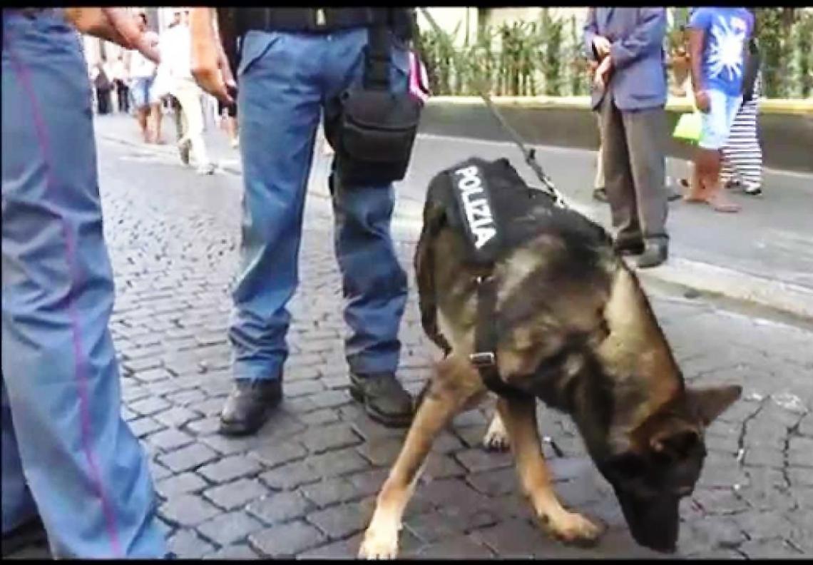Blitz nella piazza di spaccio con il cane poliziotto Kira, trovati denaro e droga: due arresti