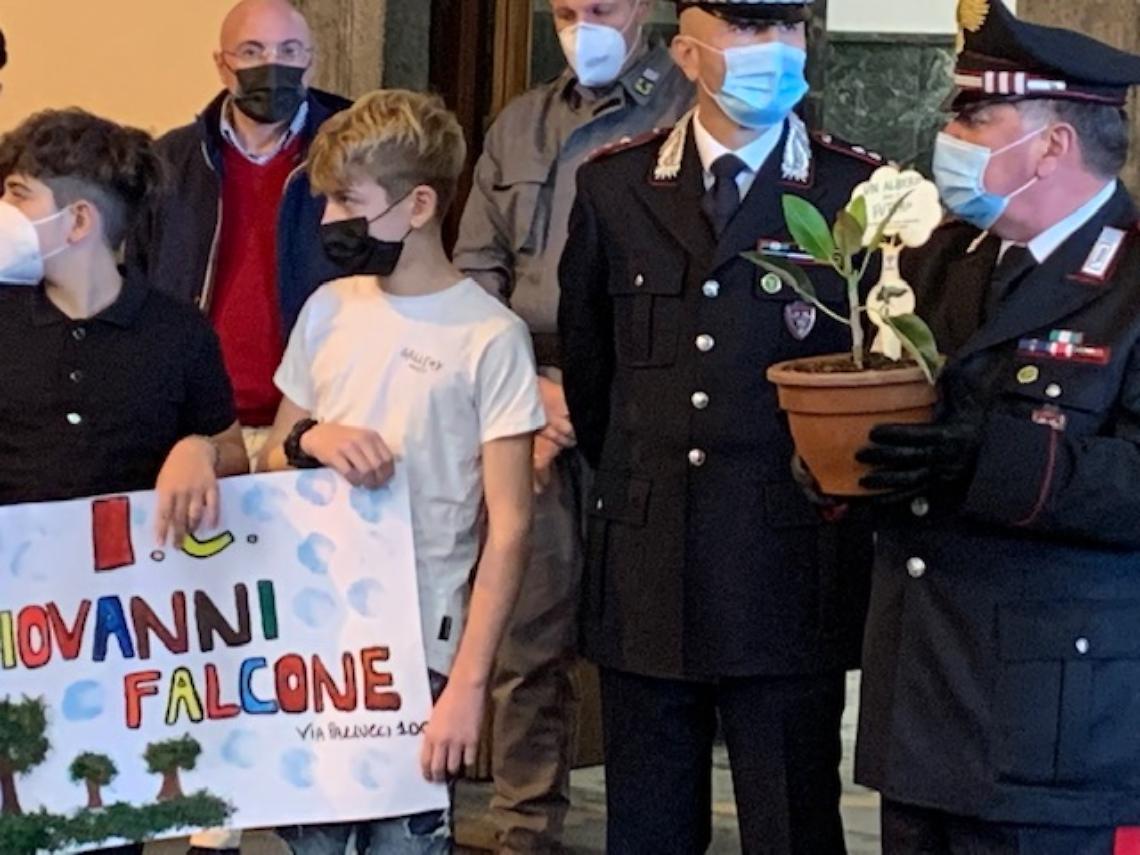 L'Albero di Falcone arriva anche a Napoli