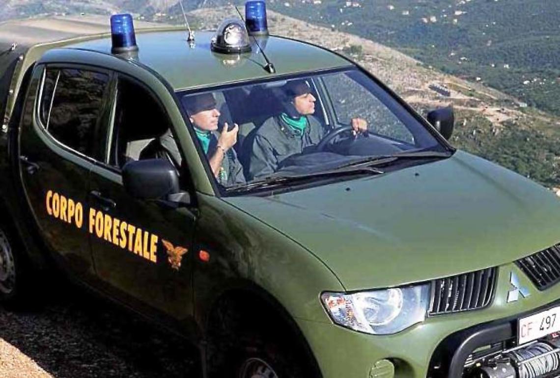 La Forestale arresta rapinatori seriali di autogrill: due in cella