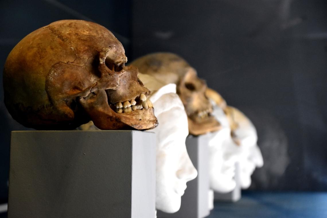 Scavi di Pompei, all'Antiquarum gli arredi della casa di Giuio Polibio